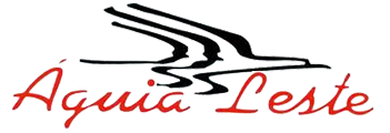 Logo Águia Leste Guinchos 24H
